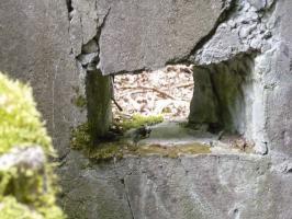 Ligne Maginot - M1B - TAUBRUNNENWALD - (Blockhaus pour arme infanterie) - 