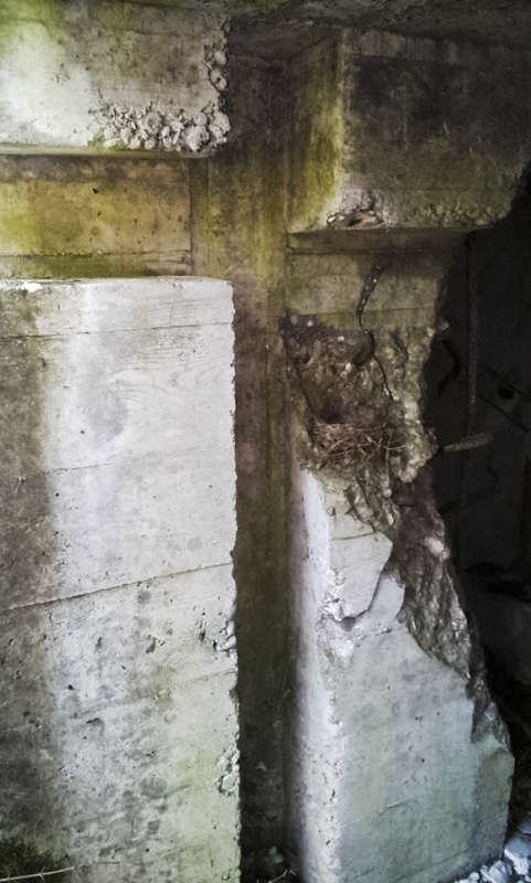 Ligne Maginot - STOCKEN 1 - (Blockhaus pour canon) - 