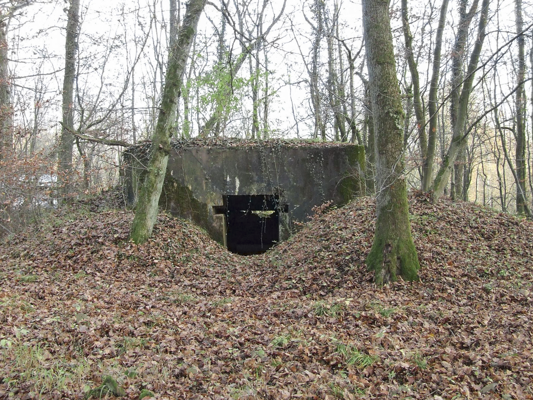Ligne Maginot - STOCKEN 3 - (Blockhaus pour canon) - 
