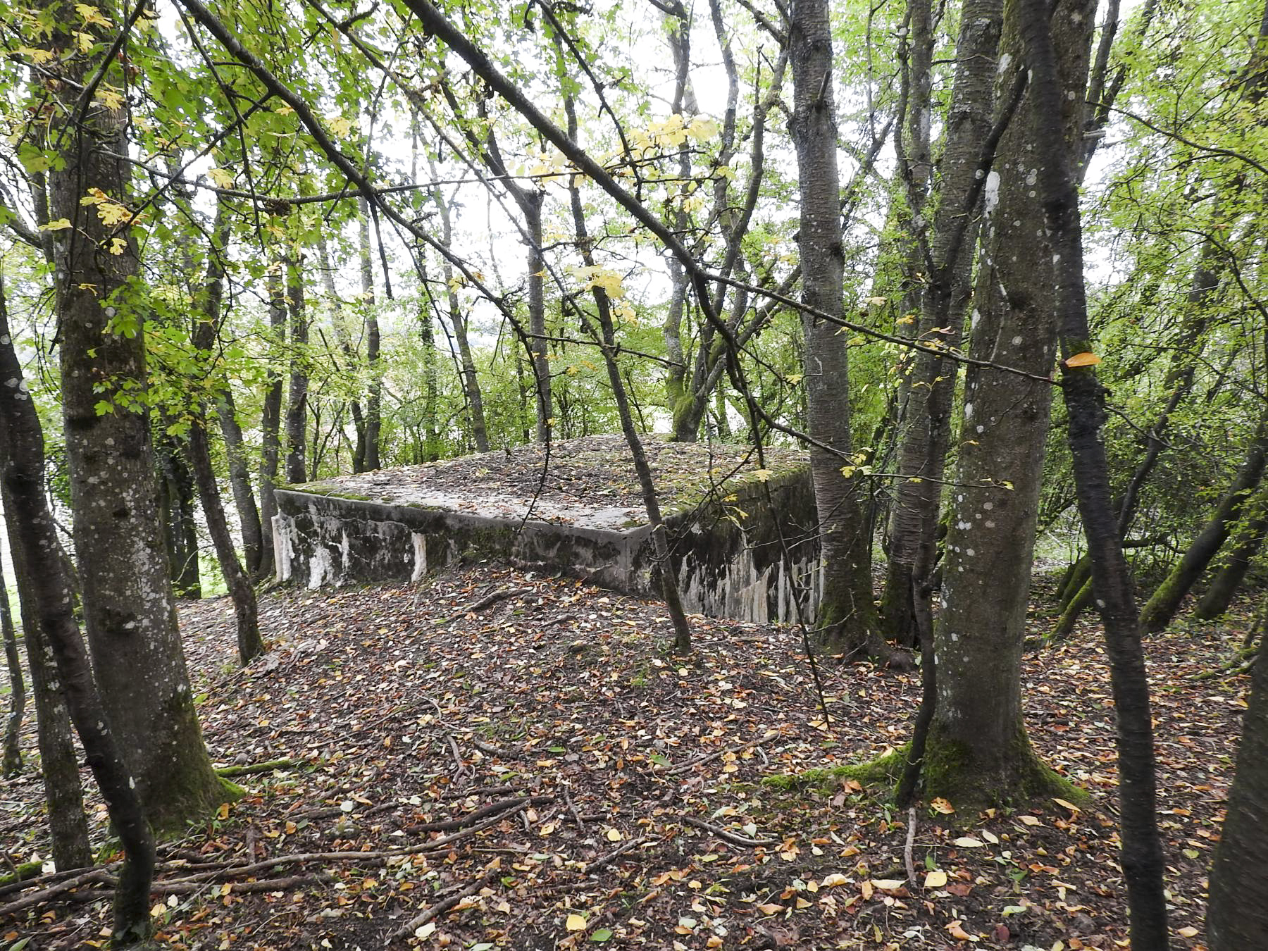 Ligne Maginot - WELSCHBRUCH CENTRE - (Blockhaus pour arme infanterie) -  - STENGER Mathieu