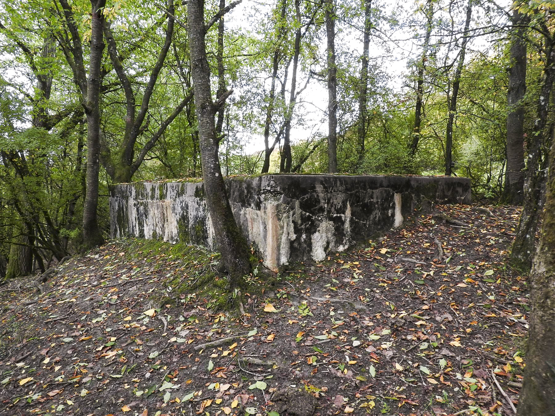 Ligne Maginot - WELSCHBRUCH CENTRE - (Blockhaus pour arme infanterie) - L'arrière est remblayé - STENGER Mathieu