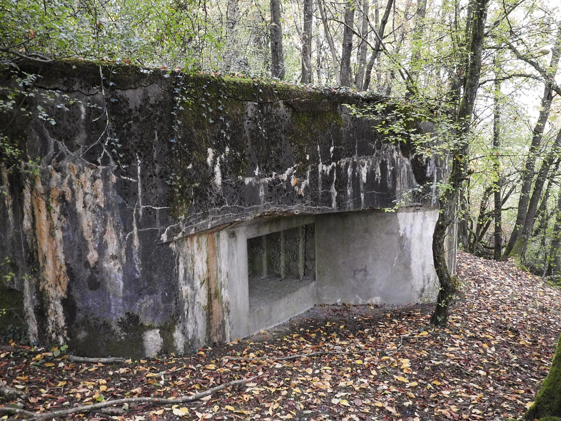 Ligne Maginot - WELSCHBRUCH SUD - (Blockhaus pour canon) - 