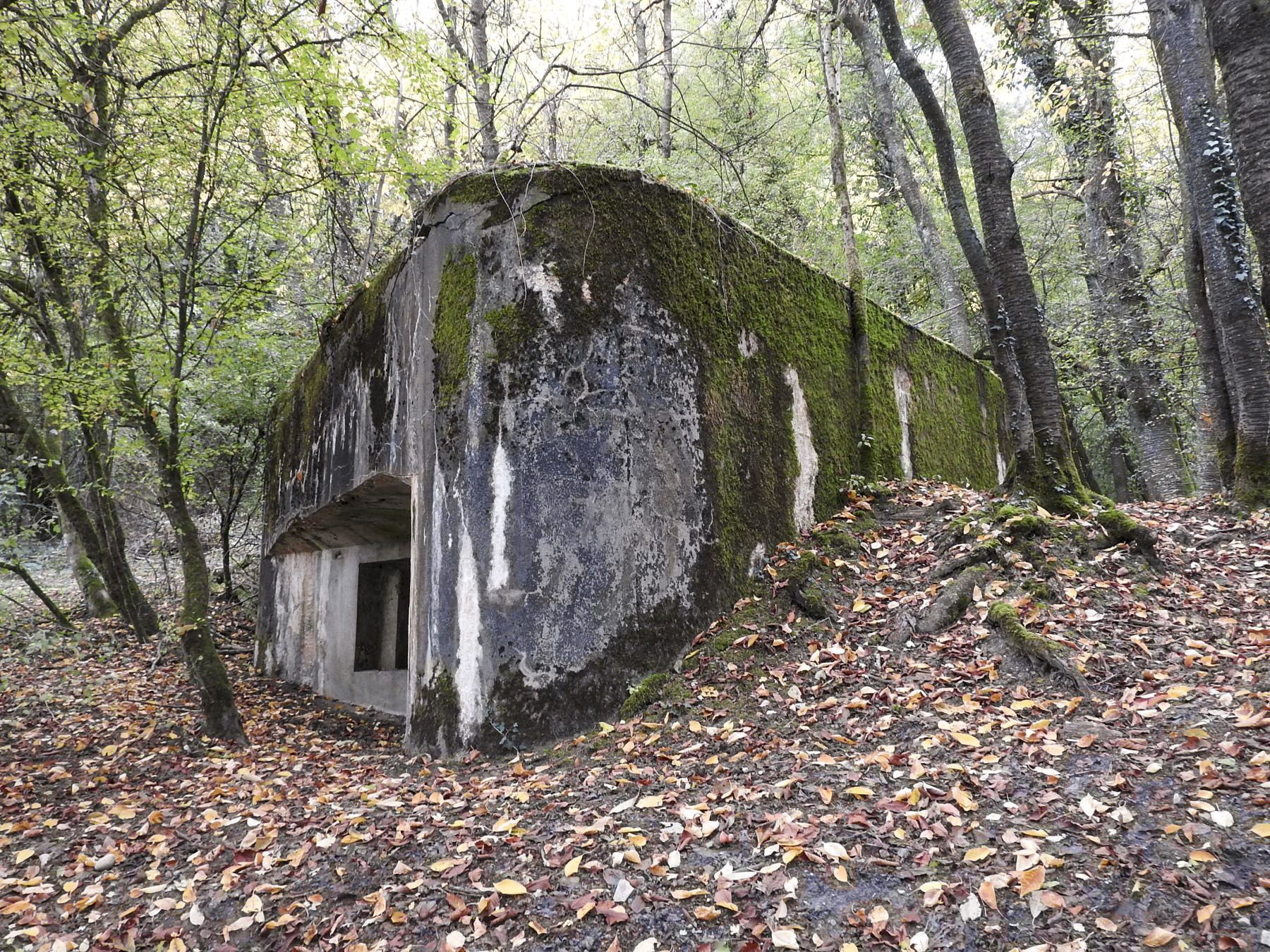 Ligne Maginot - WELSCHBRUCH SUD - (Blockhaus pour canon) - 