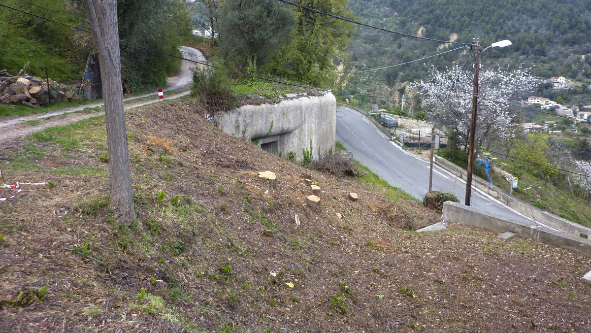 Ligne Maginot - COL DE GARDE (G) - EO10 - (Abri actif) - Bloc 4