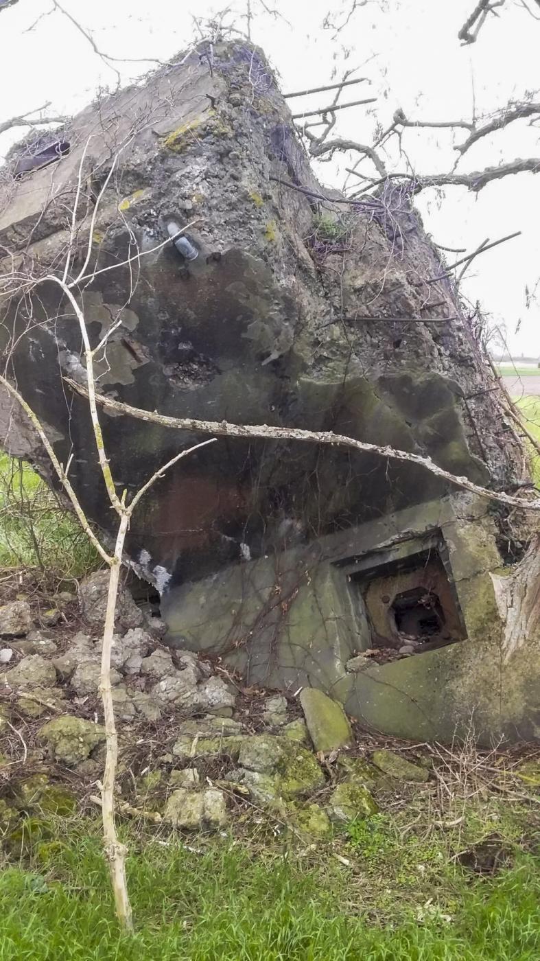 Ligne Maginot - 41/3 - BIESHEIM NORD - (Casemate d'infanterie - Double) - Reste d'un créneau à une trentaine de mètres suite à l'explosion - Joel MUNTZINGER