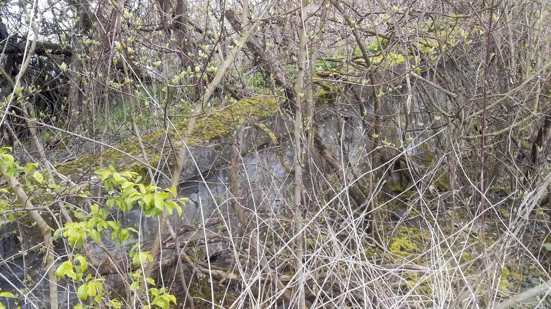 Ligne Maginot - 41/3 - BIESHEIM NORD - (Casemate d'infanterie - Double) - Mur coté gauche - Joel MUNTZINGER