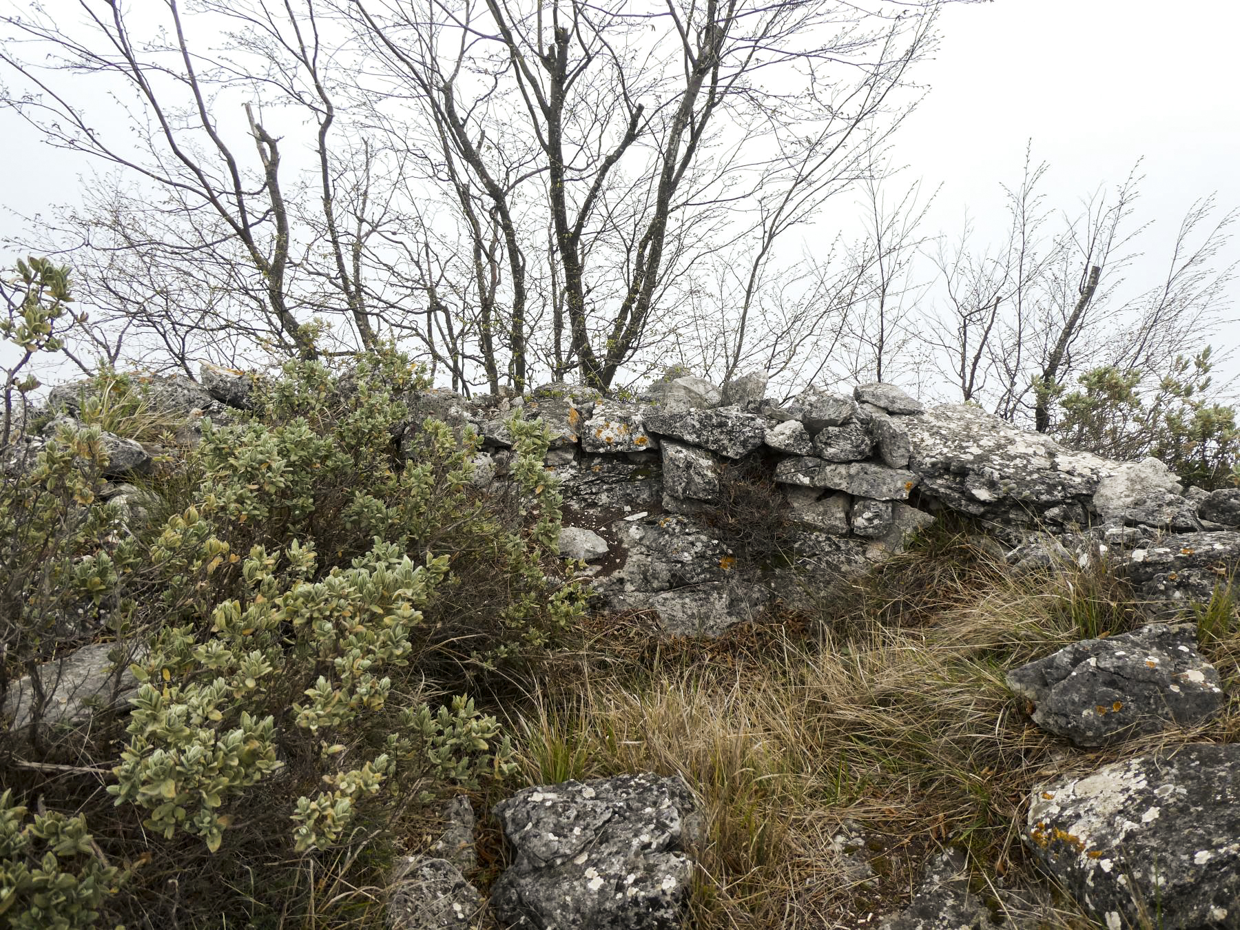 Ligne Maginot - CIME DES CABANELLES - (Observatoire d'artillerie) - Cuve observatoire prés du poste de guet.
 - ELLENA Daniel - CUNY Philippe