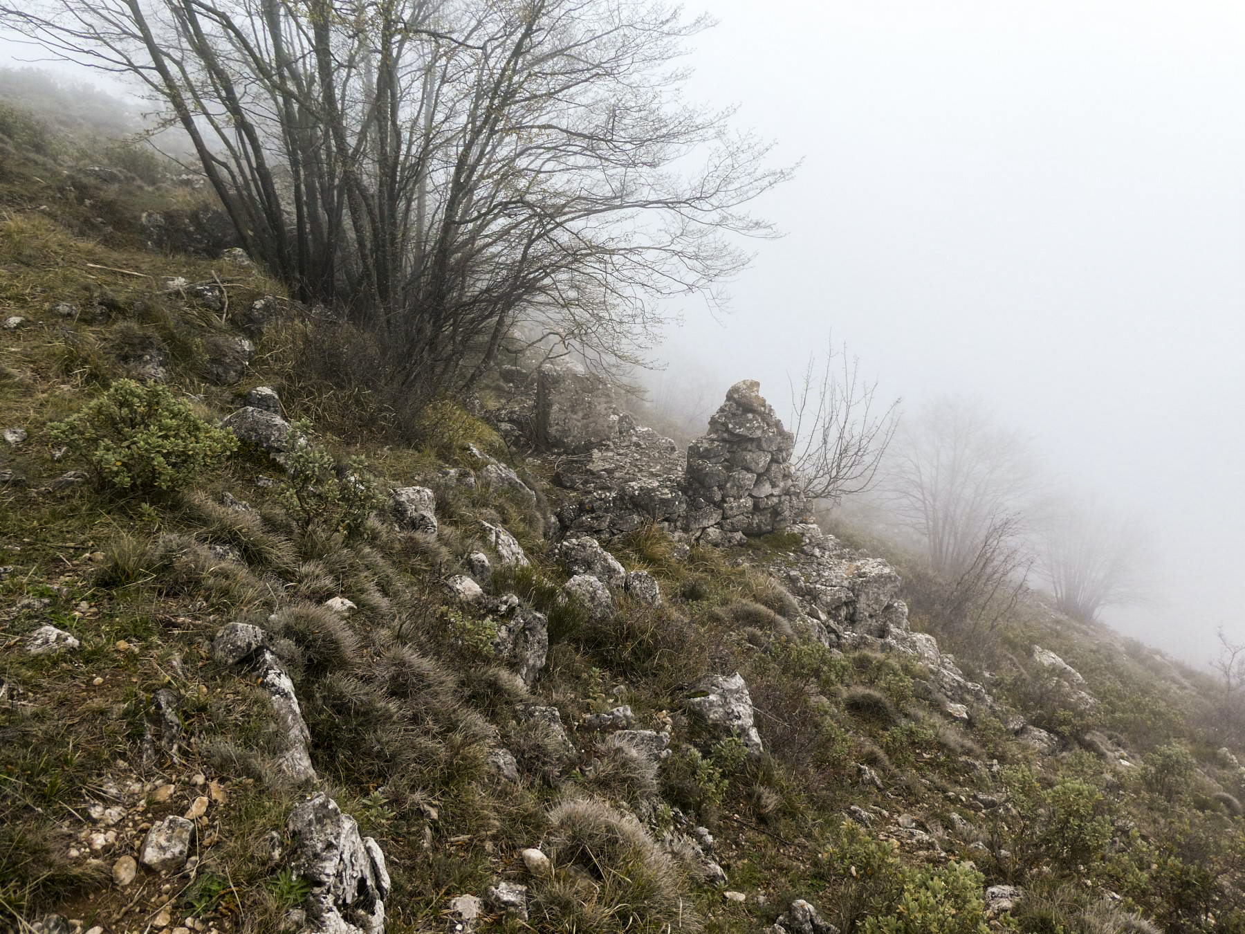 Ligne Maginot - CIME DES CABANELLES - (Observatoire d'artillerie) - Environnement
Restes d'un petit abri 'métro' en contrebas de l'observatoire. - ELLENA Daniel - CUNY Philippe