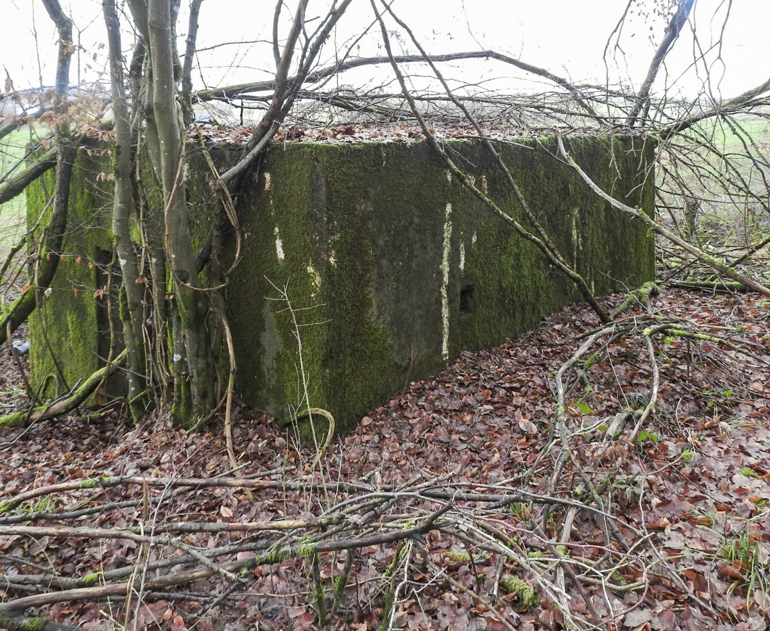 Ligne Maginot - BB355 - (Blockhaus pour canon) - La façade arrière - STENGER Mathieu