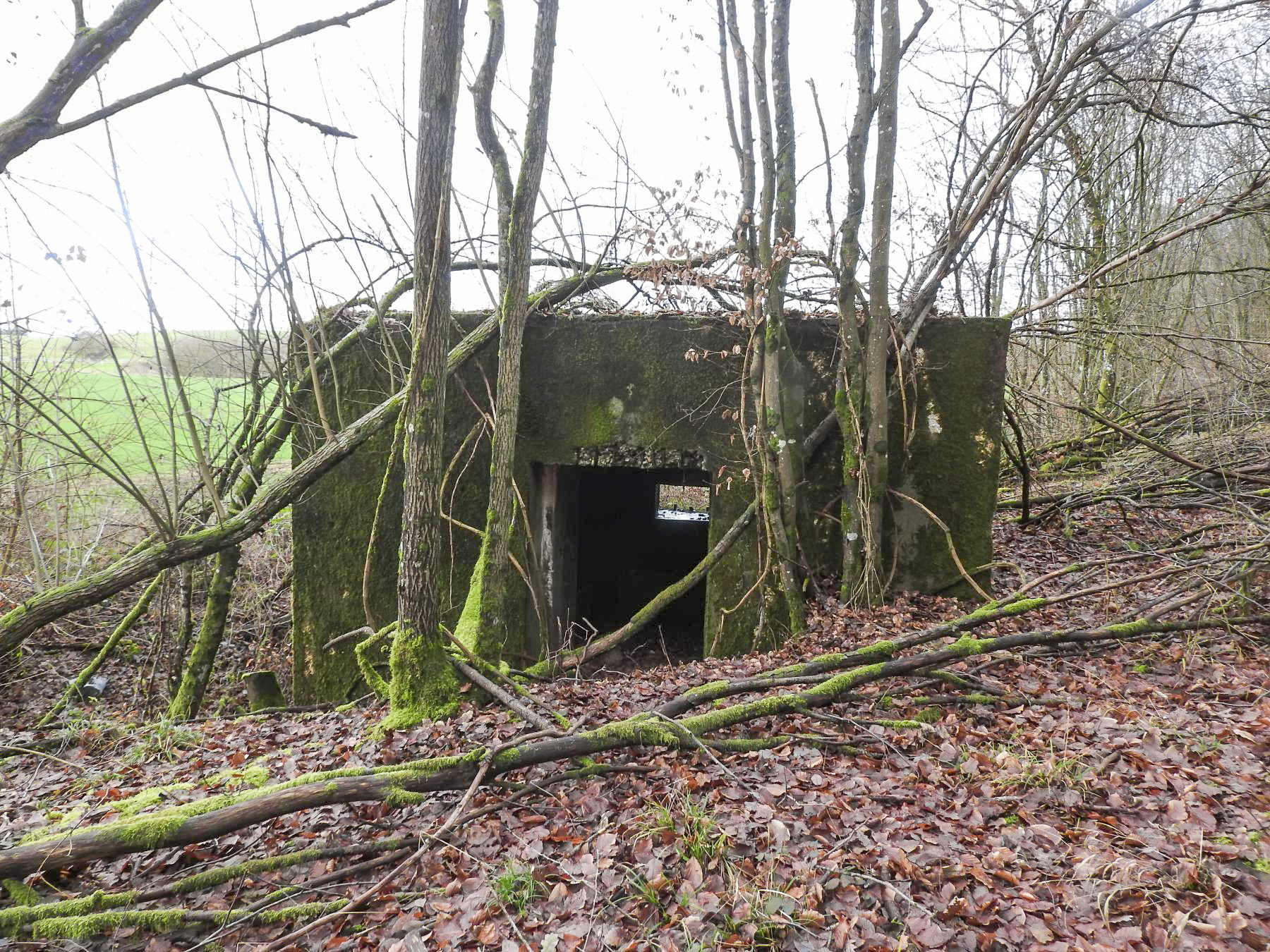 Ligne Maginot - BB355 - (Blockhaus pour canon) - L'entrée du canon à l'arrière. - STENGER Mathieu