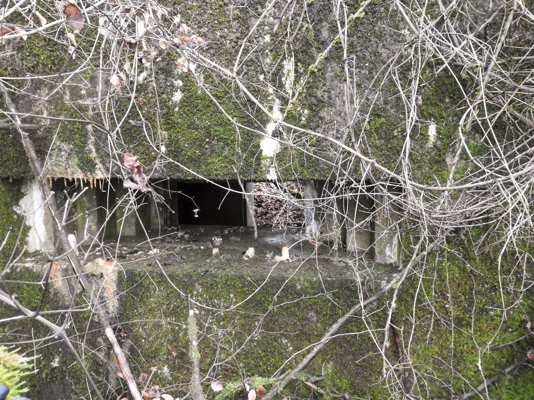Ligne Maginot - BB355 - (Blockhaus pour canon) - Le créneau anti-char. - STENGER Mathieu