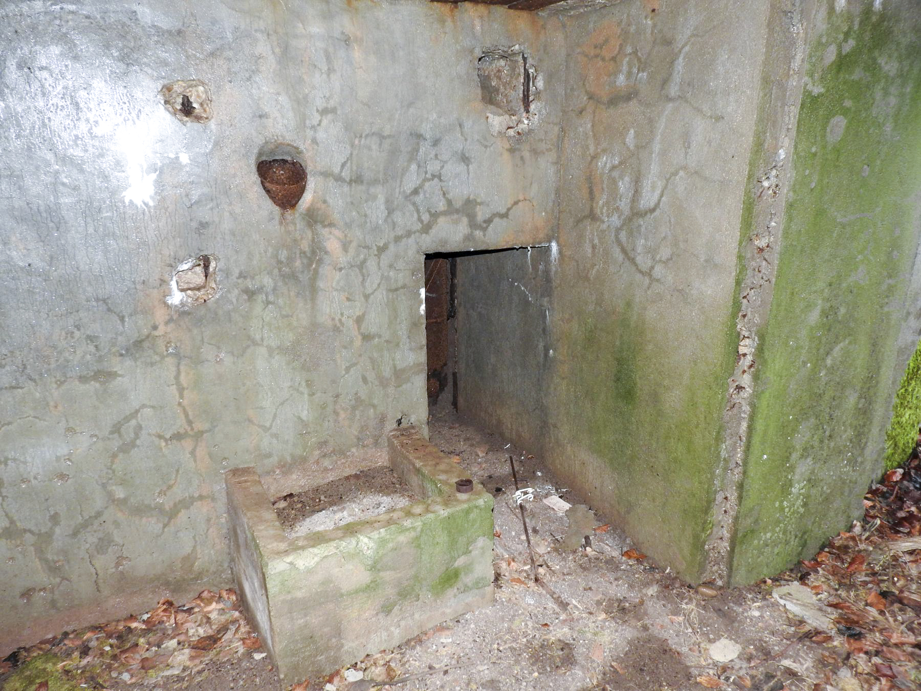 Ligne Maginot - BB355 - (Blockhaus pour canon) - L'entrée latérale du personnel remblayée à l'extérieur. - STENGER Mathieu