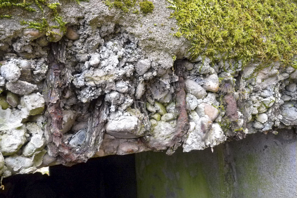 Ligne Maginot - BB355 - (Blockhaus pour canon) -  - Sylvie Laure LAMBERT