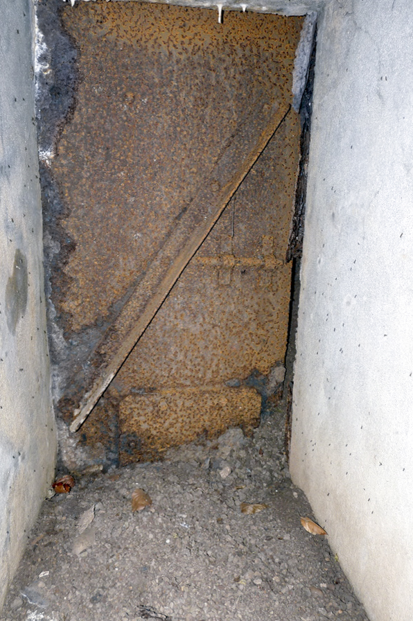 Ligne Maginot - BB355 - (Blockhaus pour canon) -  - Sylvie Laure LAMBERT