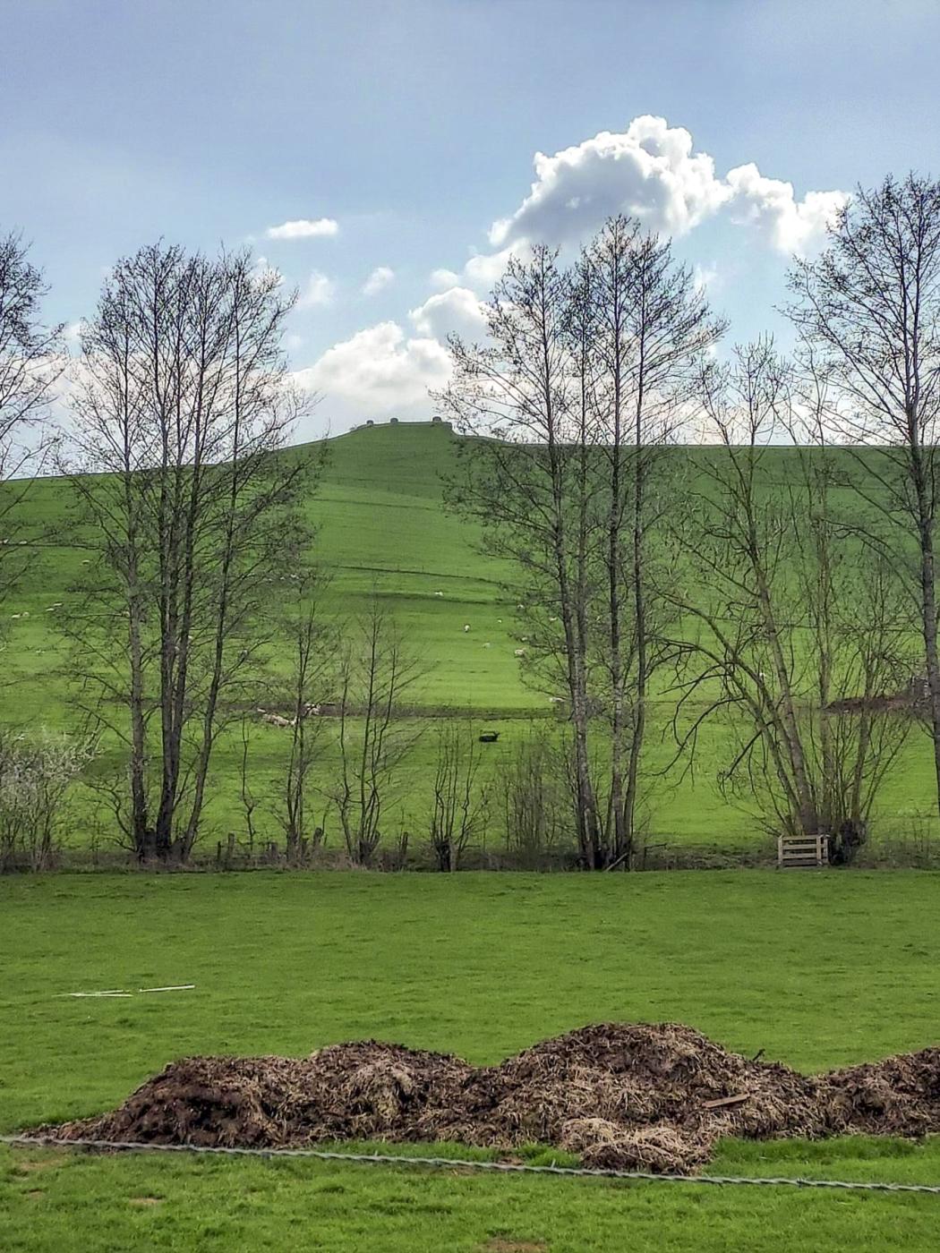 Ligne Maginot - THONNE LE THIL - (Casemate d'infanterie - Double) - Défilement de la casemate
Seules les cloches permettent d'identifier la présence d'un ouvrage. - ANDRE Philippe