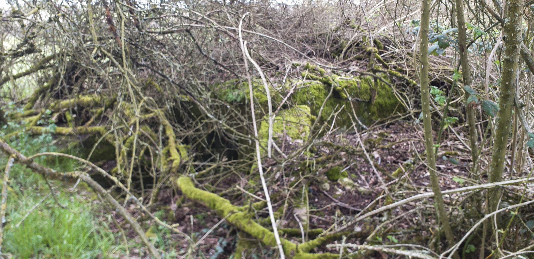 Ligne Maginot - GUEBENHOUSE 3 - (Blockhaus pour arme infanterie) -  - minich jean michel