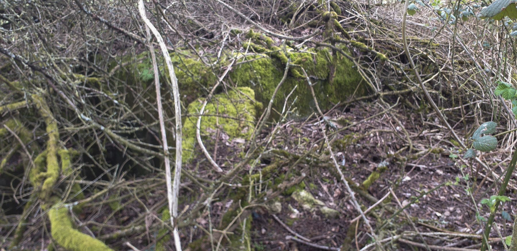 Ligne Maginot - GUEBENHOUSE 3 - (Blockhaus pour arme infanterie) -  - minich jean michel