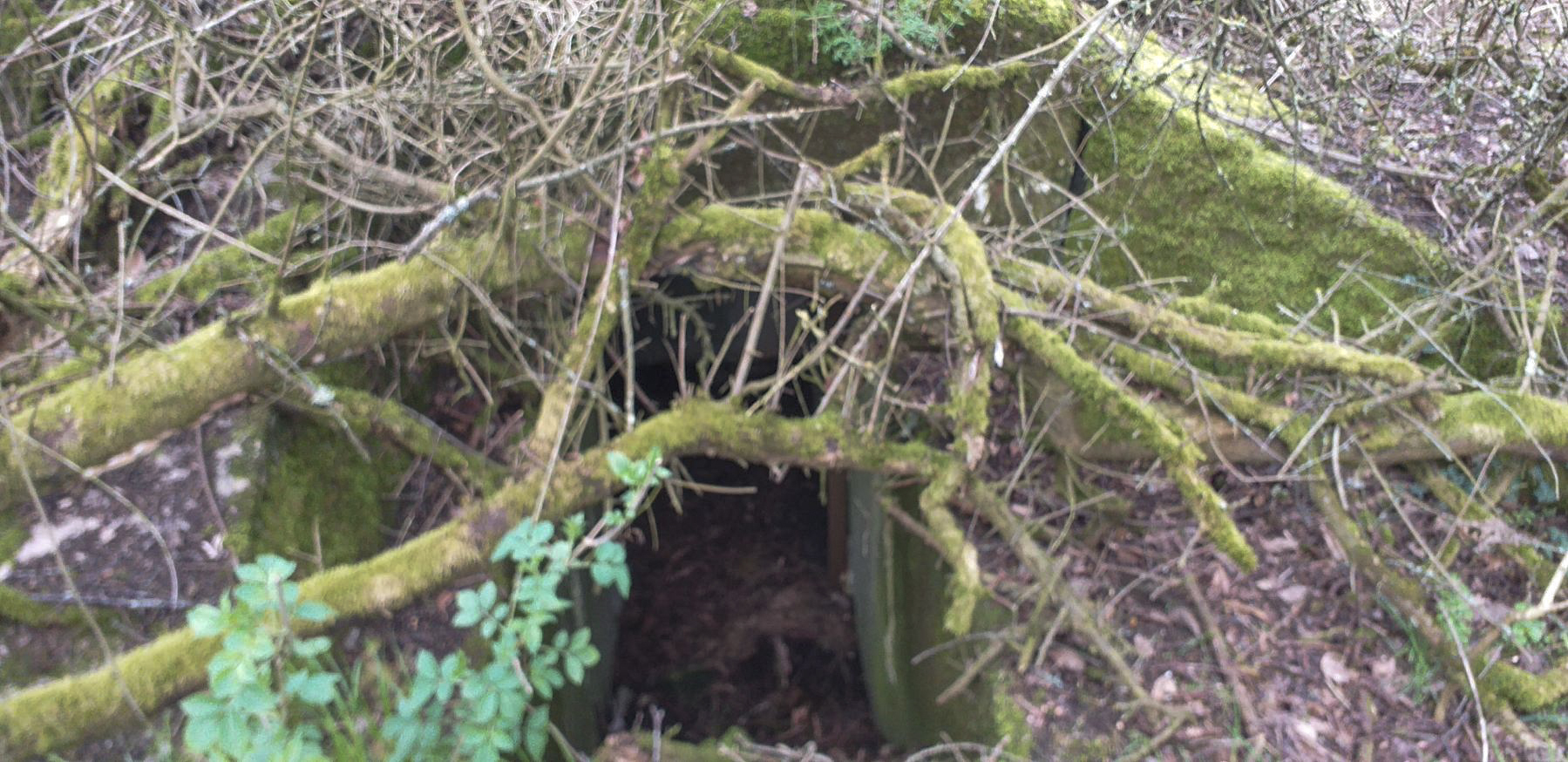 Ligne Maginot - GUEBENHOUSE 3 - (Blockhaus pour arme infanterie) - L'entrée - minich jean michel
