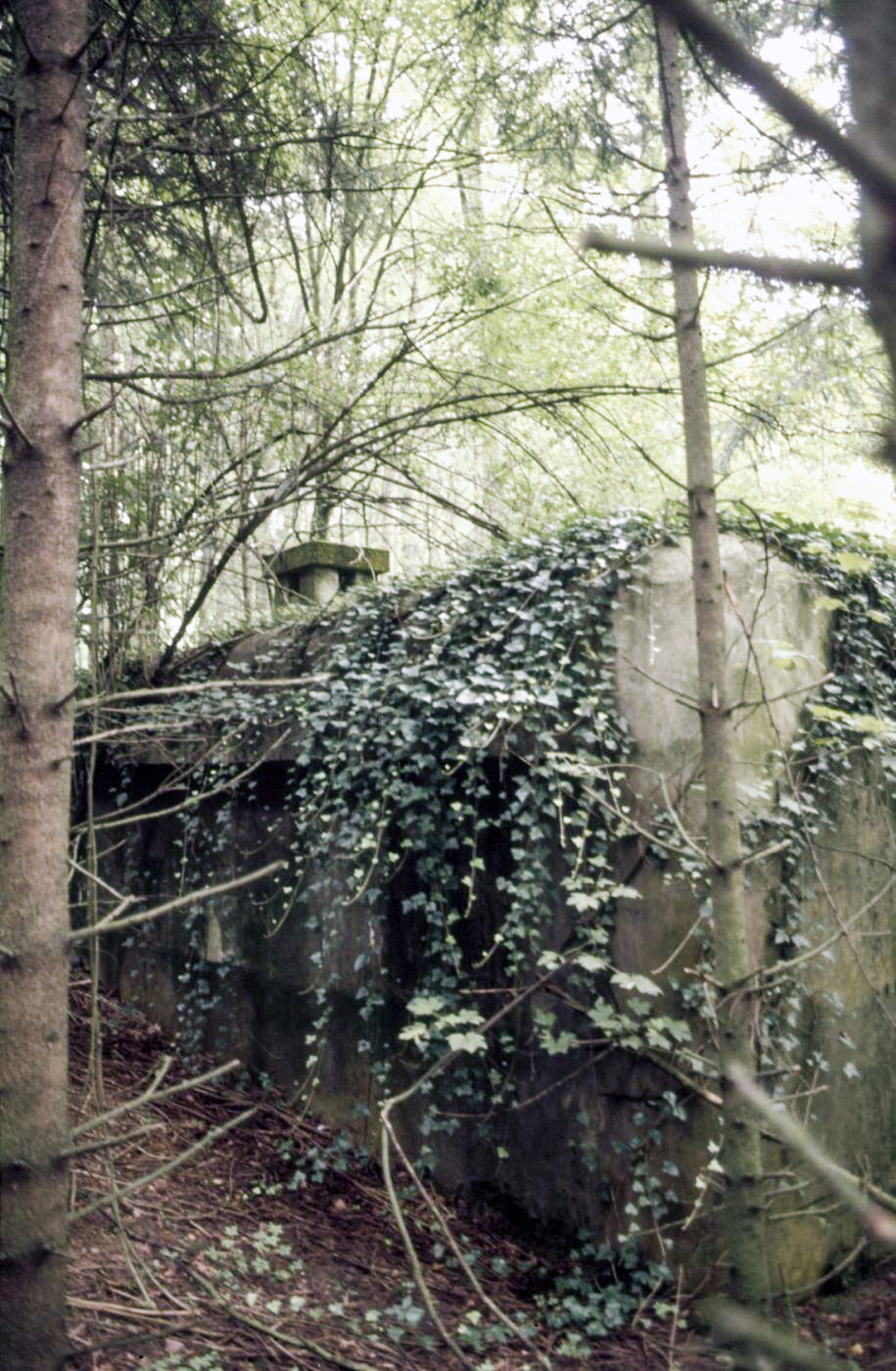 Ligne Maginot - BETANGE ( CAC ) - (PC) - Visite du PC de Betange avec la propriétaire. - ammagsdr