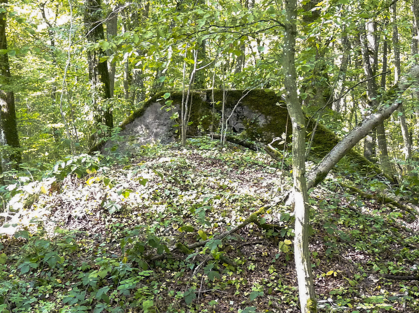 Ligne Maginot - BONHOUSE - (Abri) - 