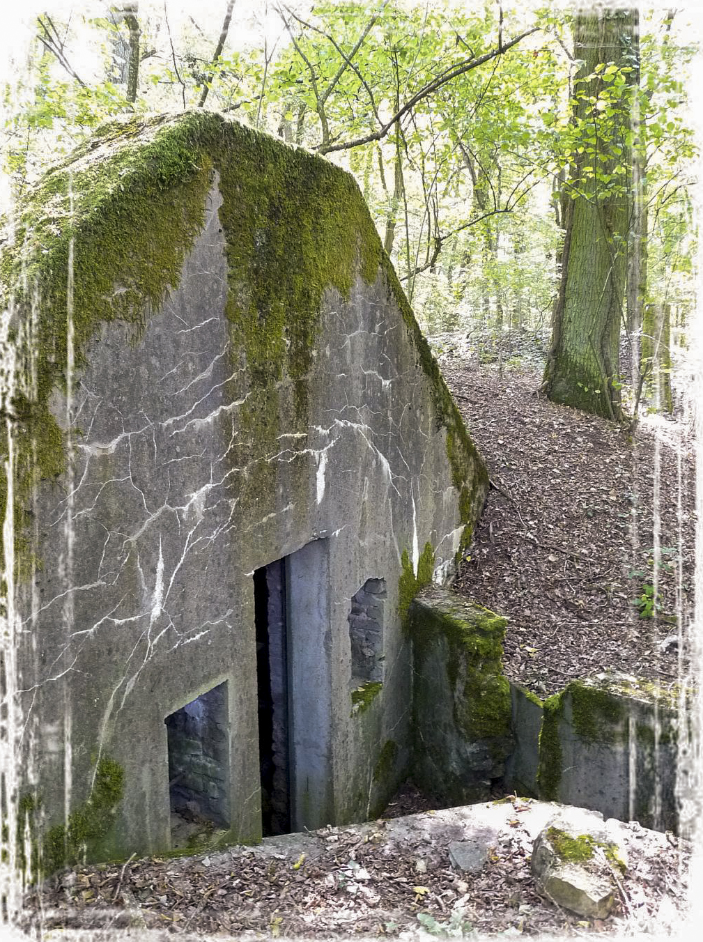 Ligne Maginot - BONHOUSE - (Abri) - 