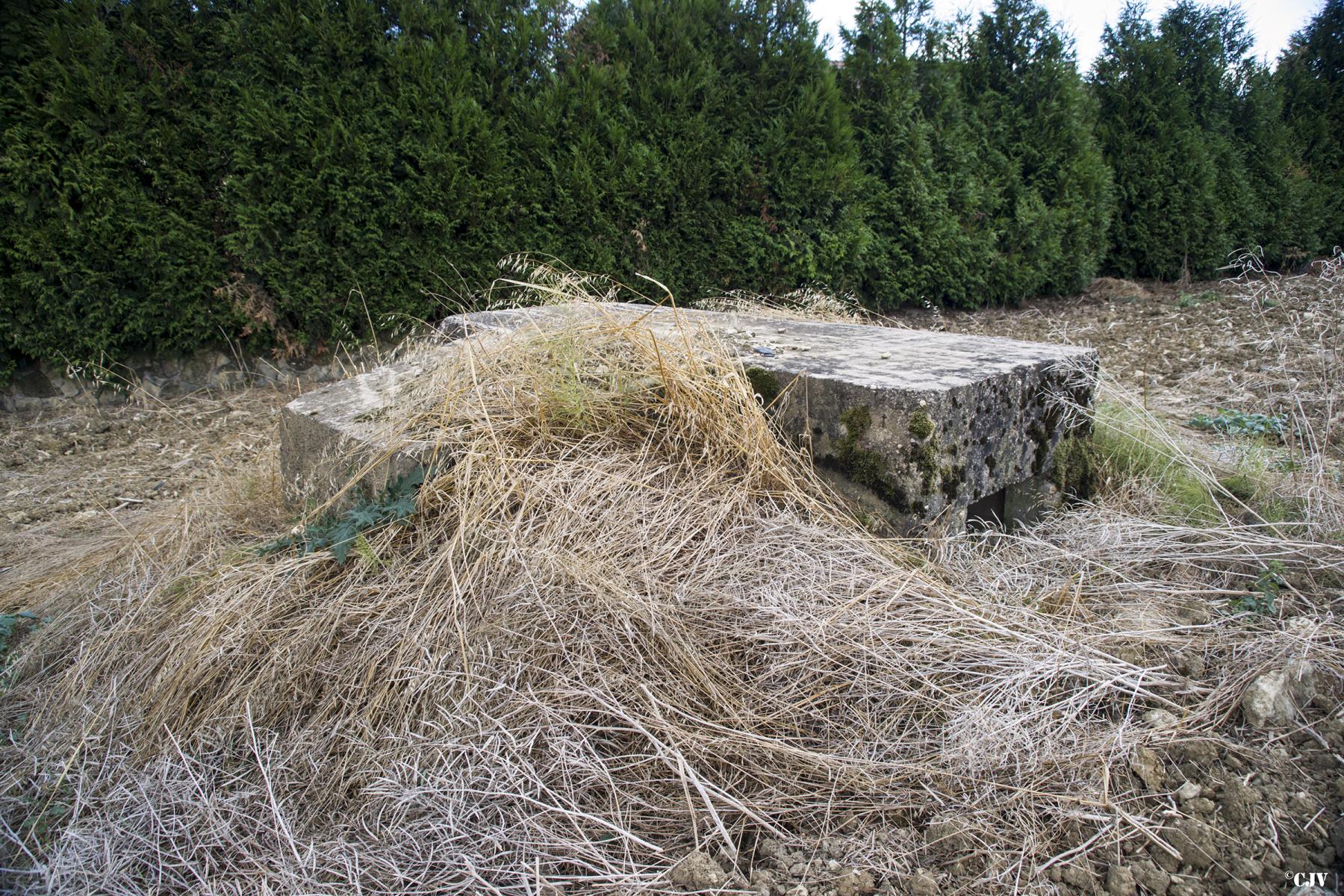 Ligne Maginot - BOUTENACKER 3 - (Blockhaus pour arme infanterie) - 