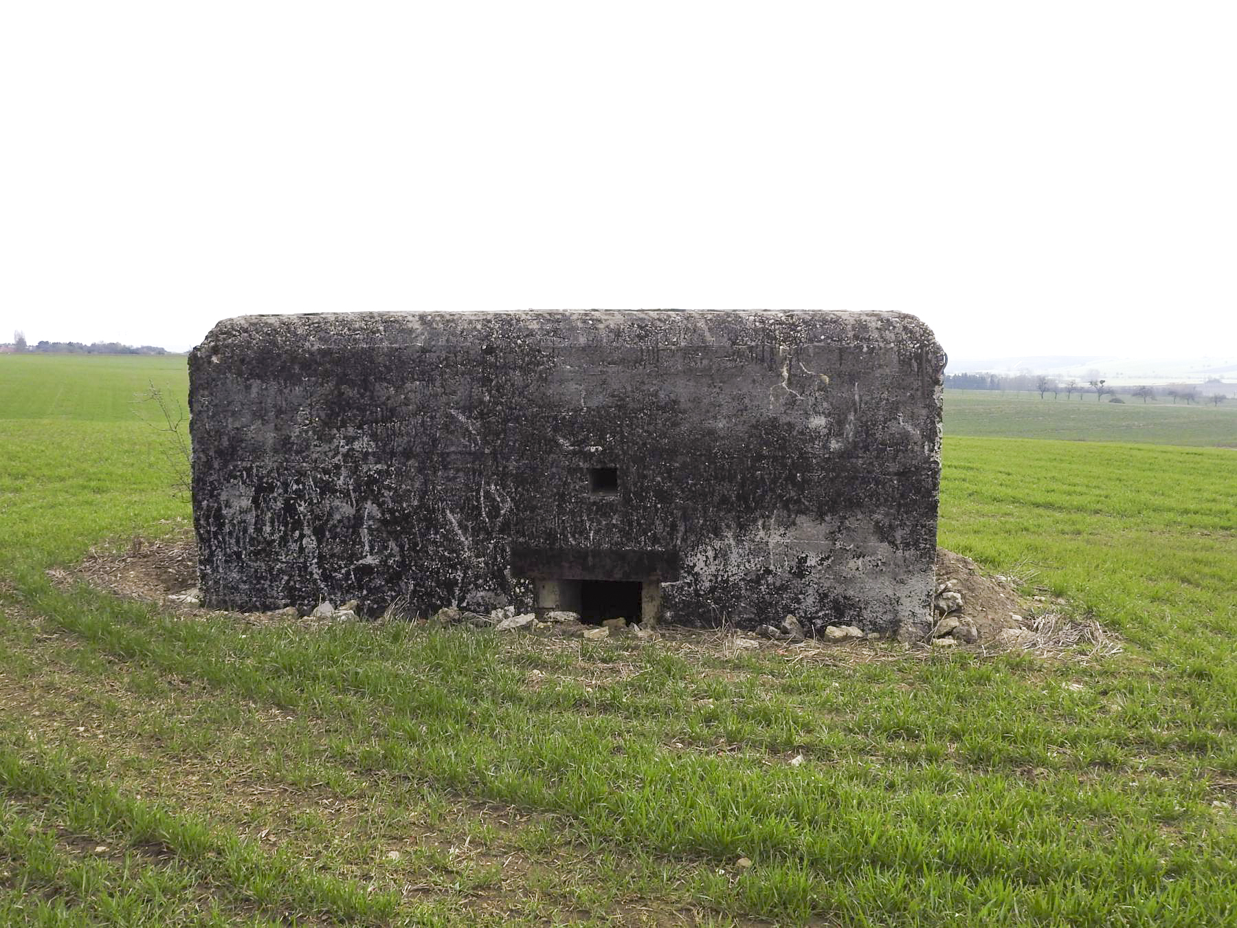 Ligne Maginot - HASENBERG 2 - (Blockhaus pour arme infanterie) - L'entrée remblayée