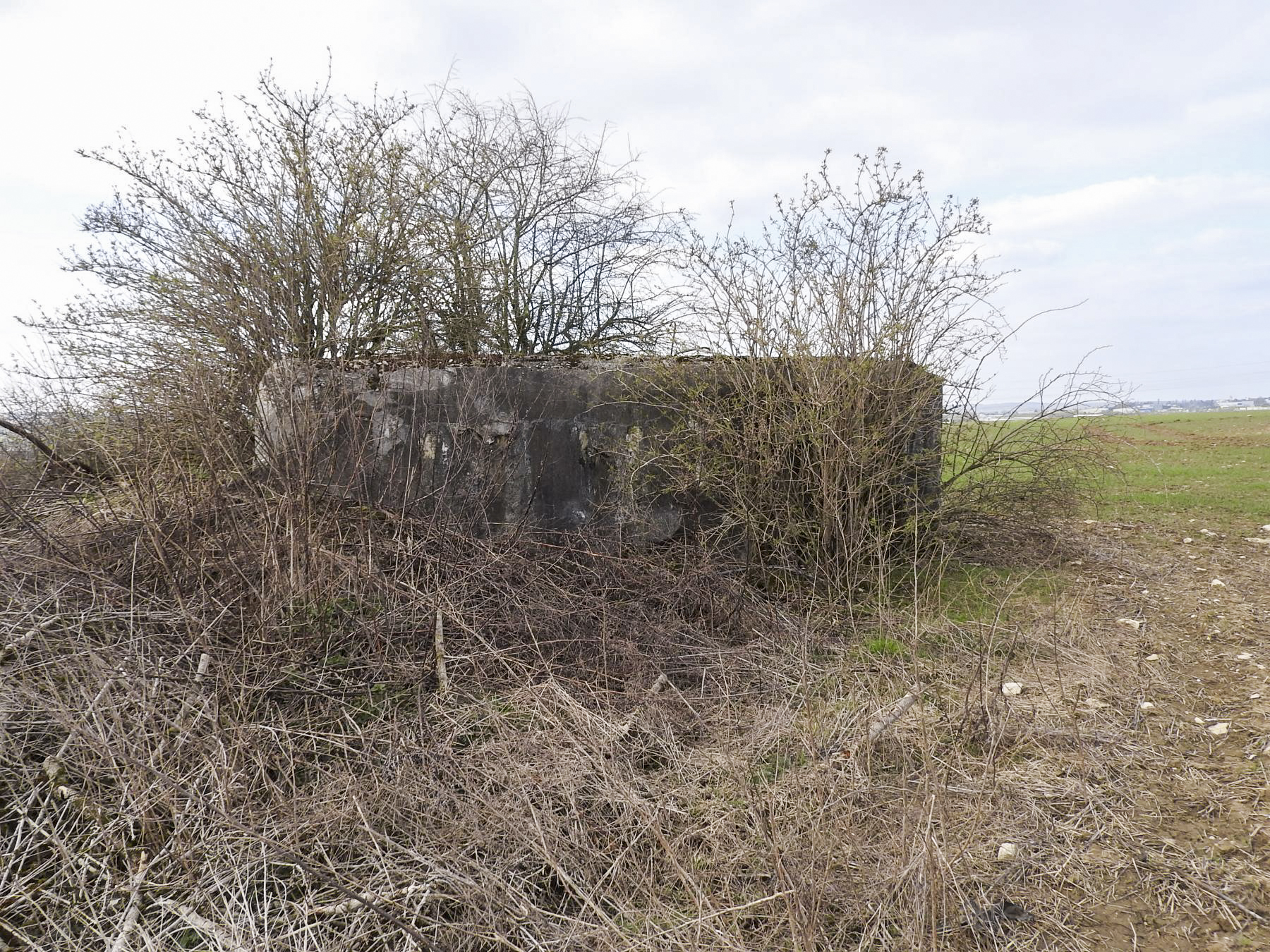 Ligne Maginot - LUTERSBERG 1 - (Blockhaus pour arme infanterie) - La façade de tir est remblayée