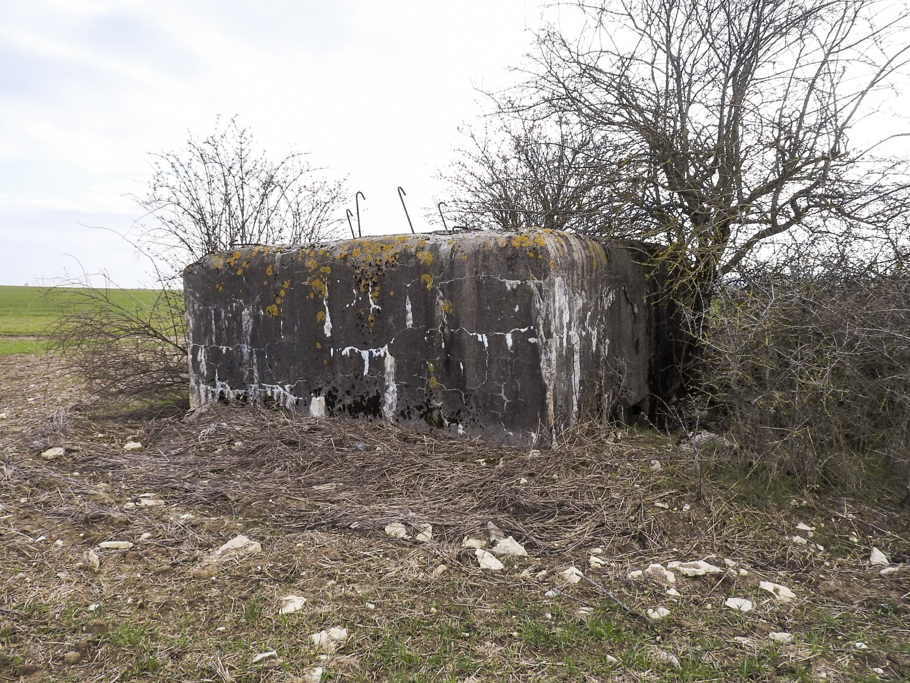 Ligne Maginot - LUTERSBERG 1 - (Blockhaus pour arme infanterie) - La façade arrière