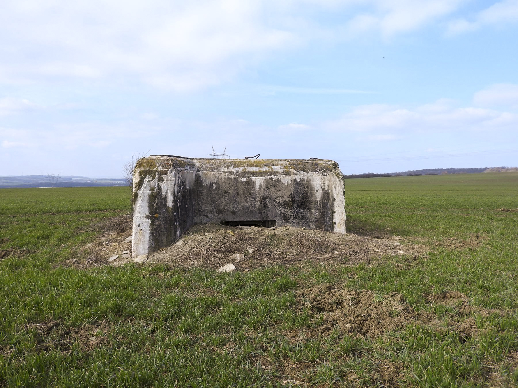 Ligne Maginot - LUTERSBERG NORD - (Blockhaus pour arme infanterie) - La façade de tir
