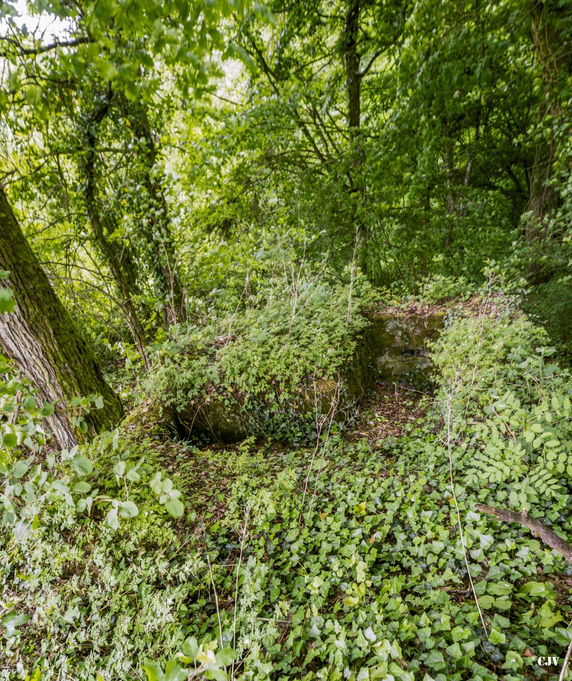 Ligne Maginot - ROUTE DE L'HIMERTEN SUD - (Blockhaus pour arme infanterie) - 