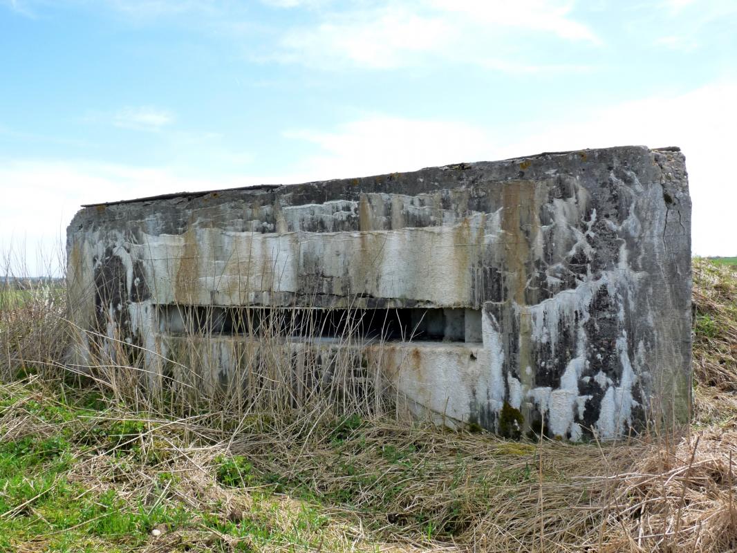 Ligne Maginot - TATTENHOLZ 2 - (Observatoire d'infanterie) -  - Sylvie Laure LAMBERT