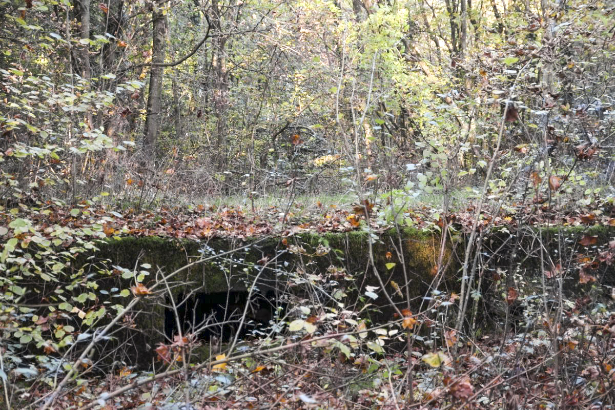Ligne Maginot - TETING CAMP - (Camp de sureté) - Soubassement de bâtiment dans les broussailles.