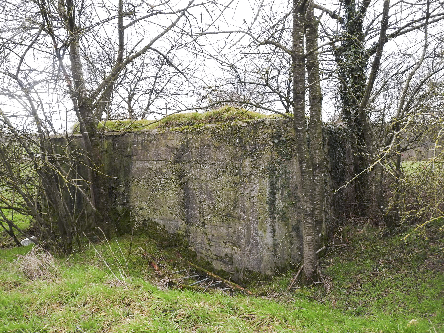 Ligne Maginot - BLANKHECK - (Blockhaus pour arme infanterie) - Le côté nord du blockhaus. - STENGER Mathieu
