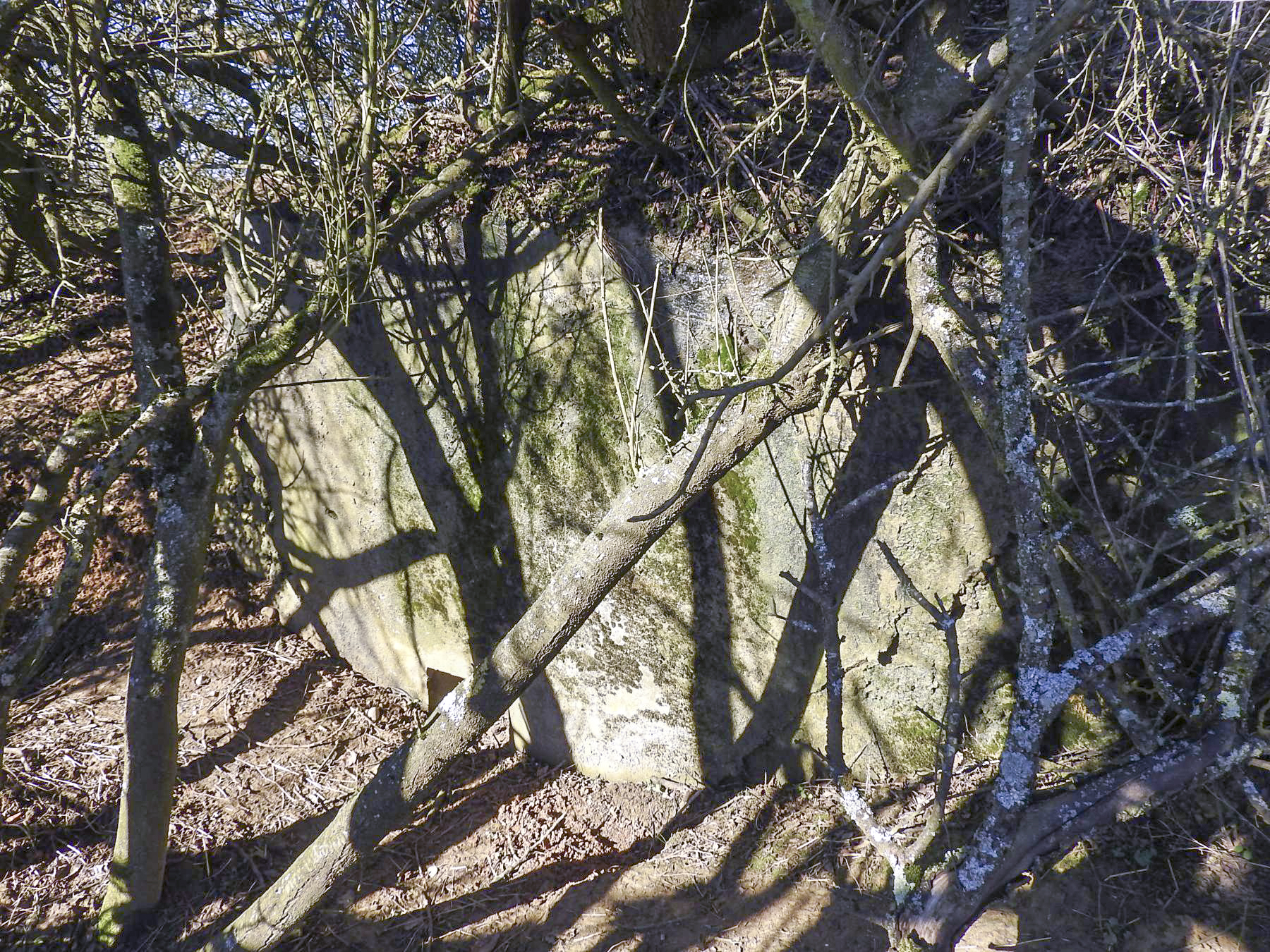 Ligne Maginot - C7B - LES CHATS 2 - (Blockhaus pour canon) - Le blockhaus en grande partie remblayé. - STENGER Mathieu