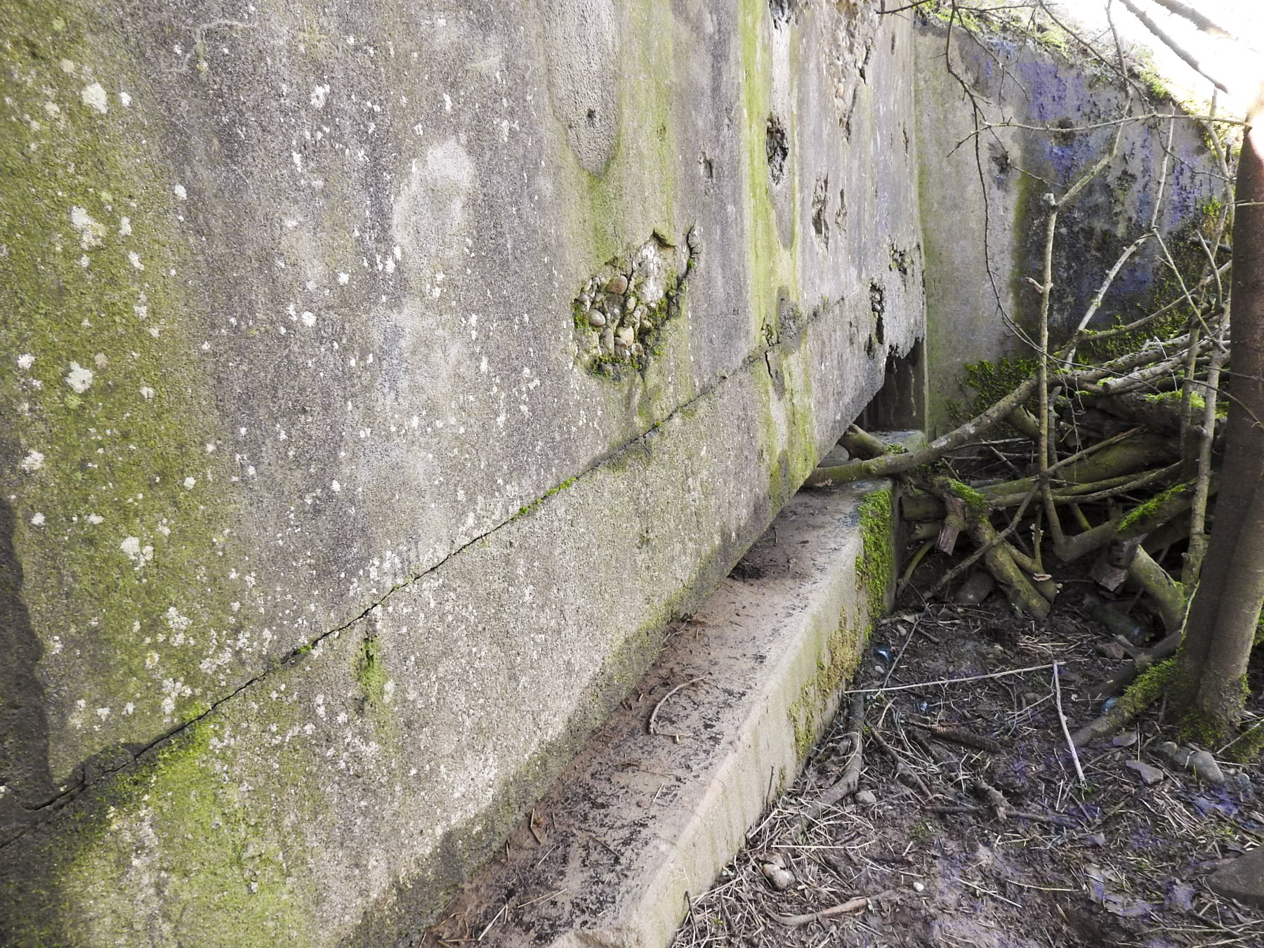 Ligne Maginot - C7B - LES CHATS 2 - (Blockhaus pour canon) - La façade de tir encore visible.