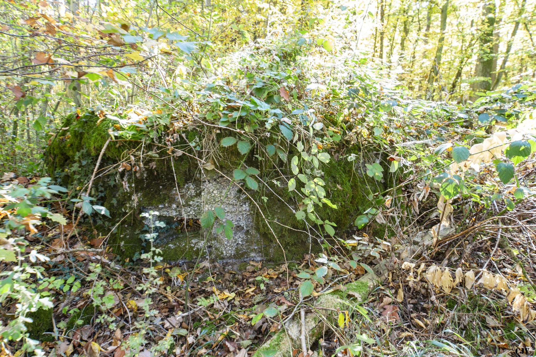 Ligne Maginot - HENRIVILLE 1 (AVANT POSTE) - (Blockhaus pour arme infanterie) -  