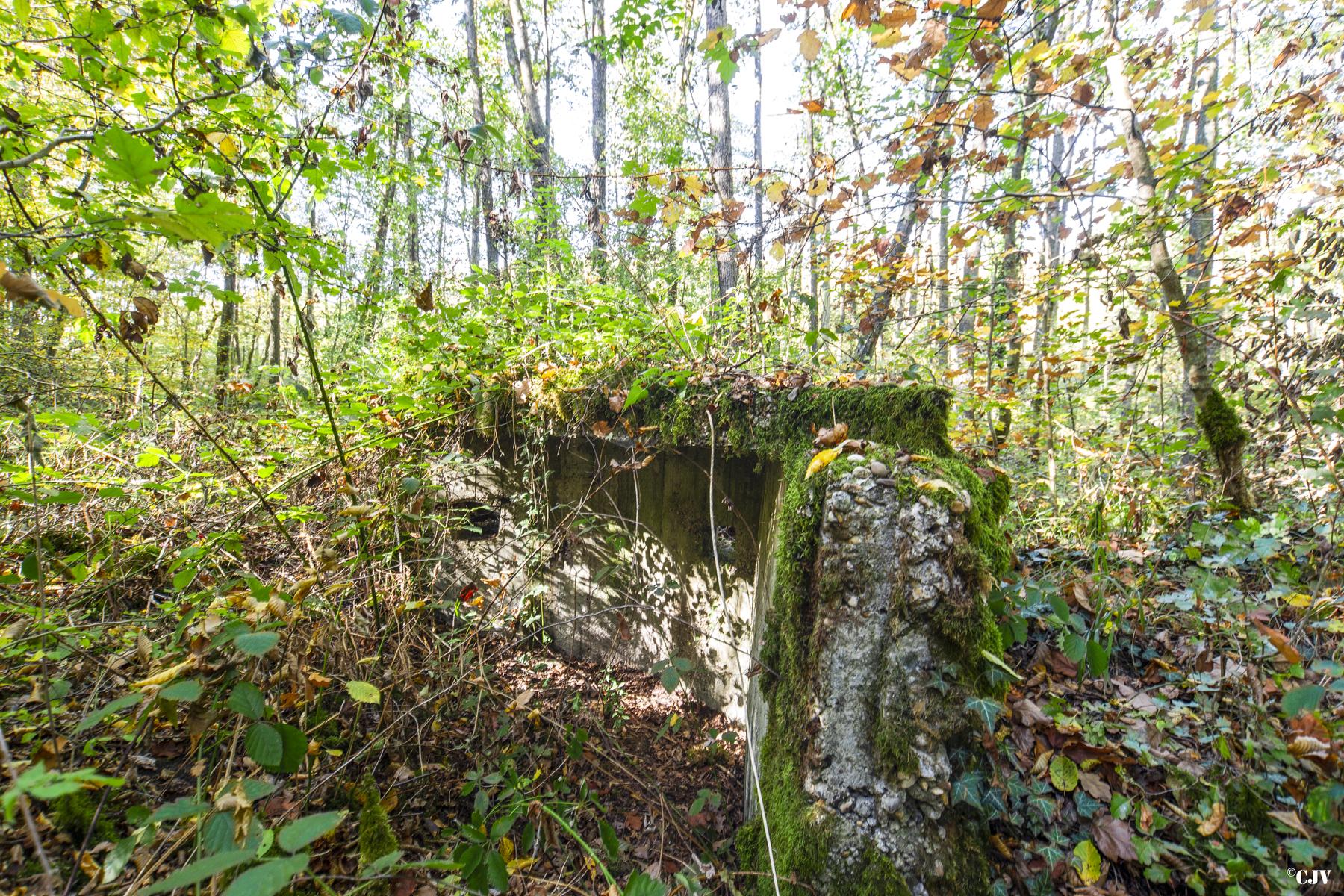 Ligne Maginot - HENRIVILLE 1 (AVANT POSTE) - (Blockhaus pour arme infanterie) -   