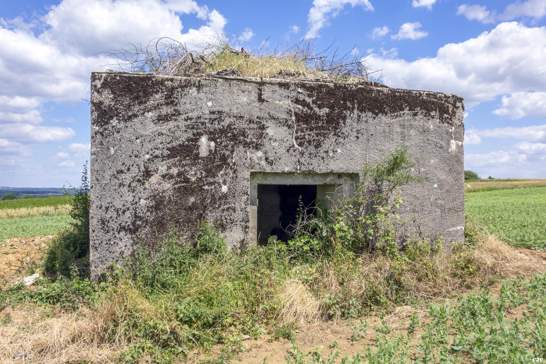 Ligne Maginot - HINTER STEINWEG 2 - (Blockhaus pour canon) - 