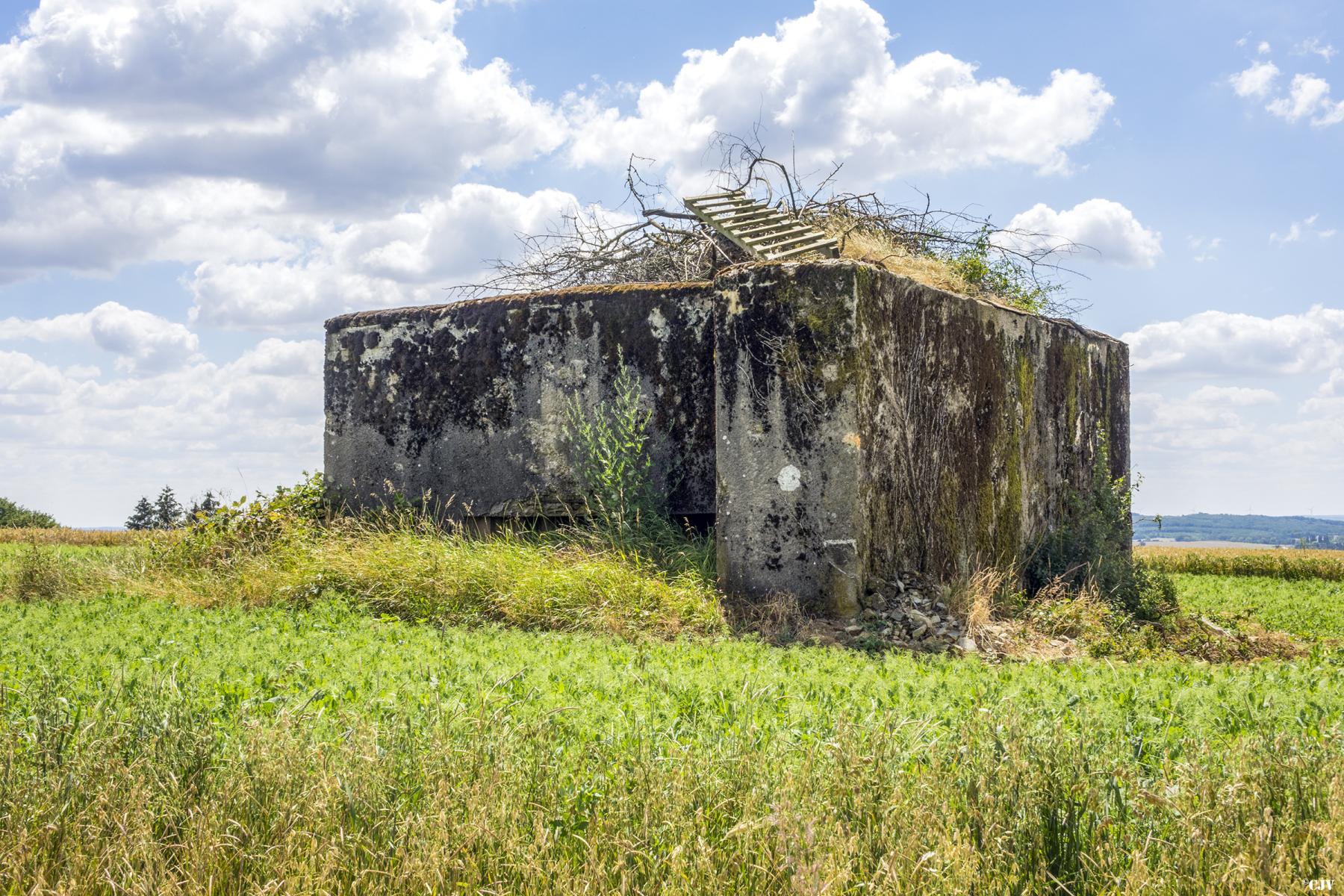 Ligne Maginot - HINTER STEINWEG 2 - (Blockhaus pour canon) -  - Lia VERMEULEN