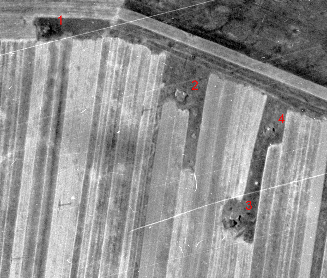 Ligne Maginot - KALKOFEN 2 - (Blockhaus de type indéterminé) - Les blockhaus du Kalkofen - IGN - Géoportail 1955