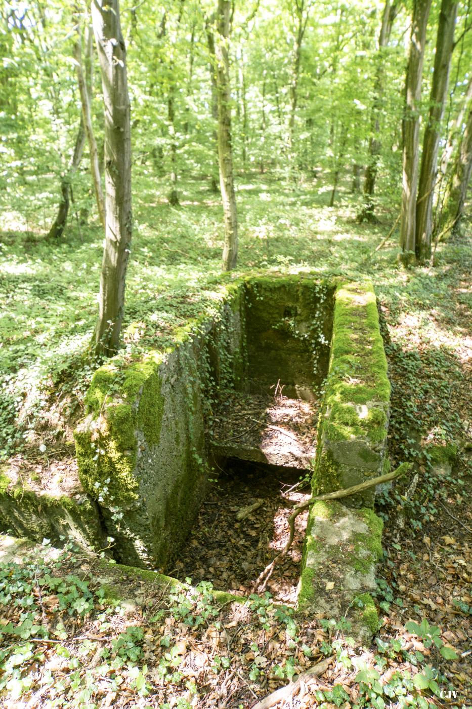 Ligne Maginot - LANING 3 - (Cuve pour arme d'infanterie) - Ce n'est pas beaucoup plus qu'un tranchée