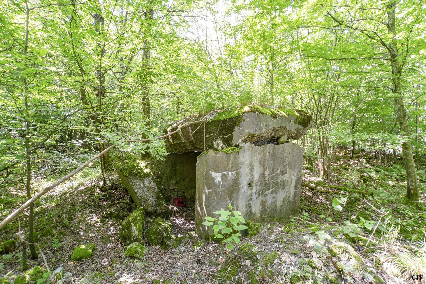 Ligne Maginot - LANING 5 - (Blockhaus de type indeterminé) -  - Lia VERMEULEN