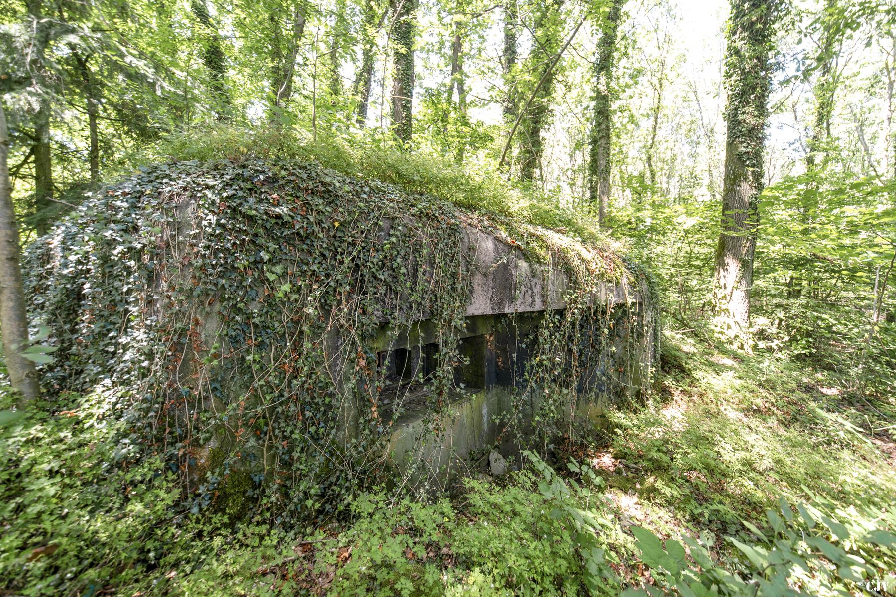 Ligne Maginot - LANING 6 - (Blockhaus pour arme infanterie) - 