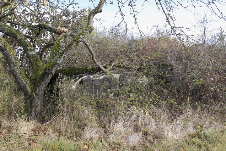 Ligne Maginot - LE BOUT 5 - (Blockhaus pour arme infanterie) - Le Bout 5 disparaît lentement, envahi par des haies