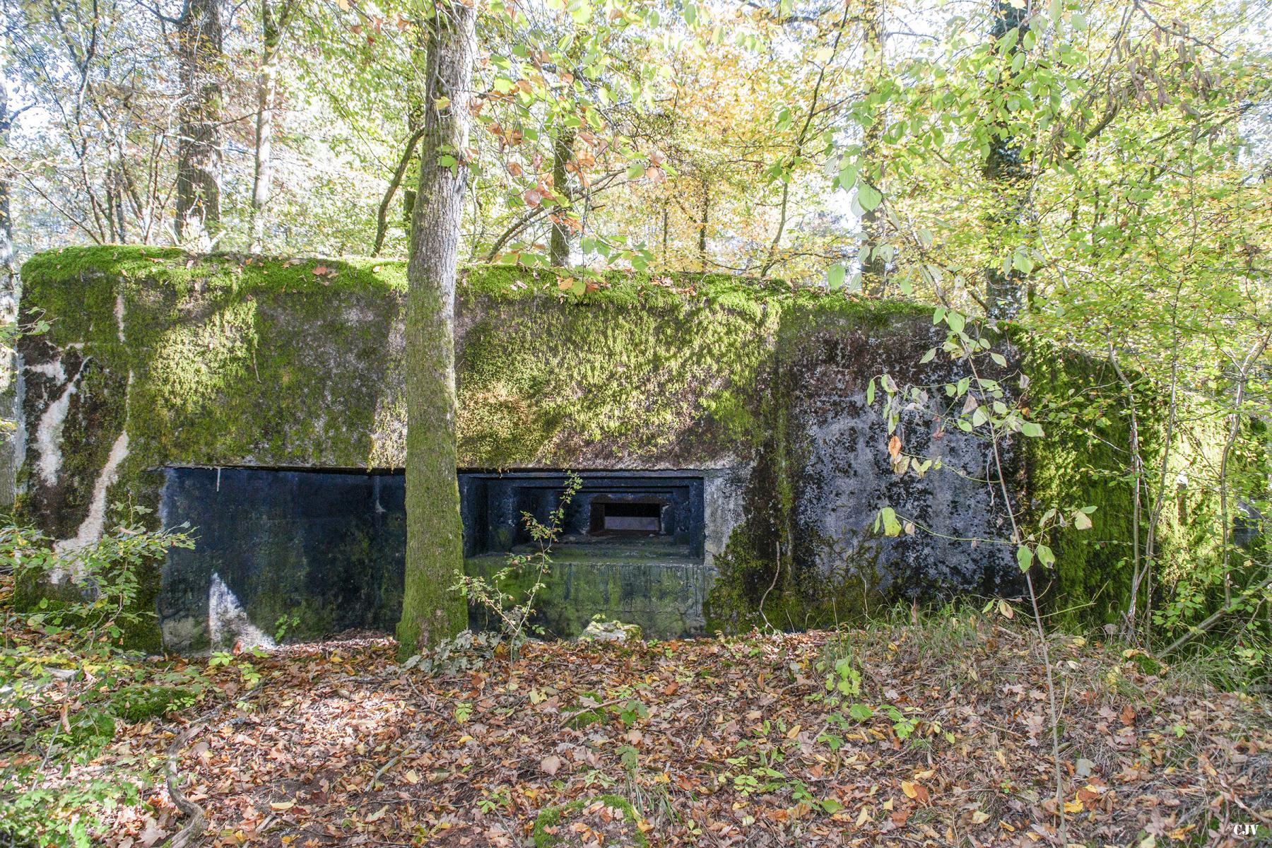 Ligne Maginot - M5B - HENRIVILLE 2 (AVANT POSTE) - (Blockhaus pour arme infanterie) - 