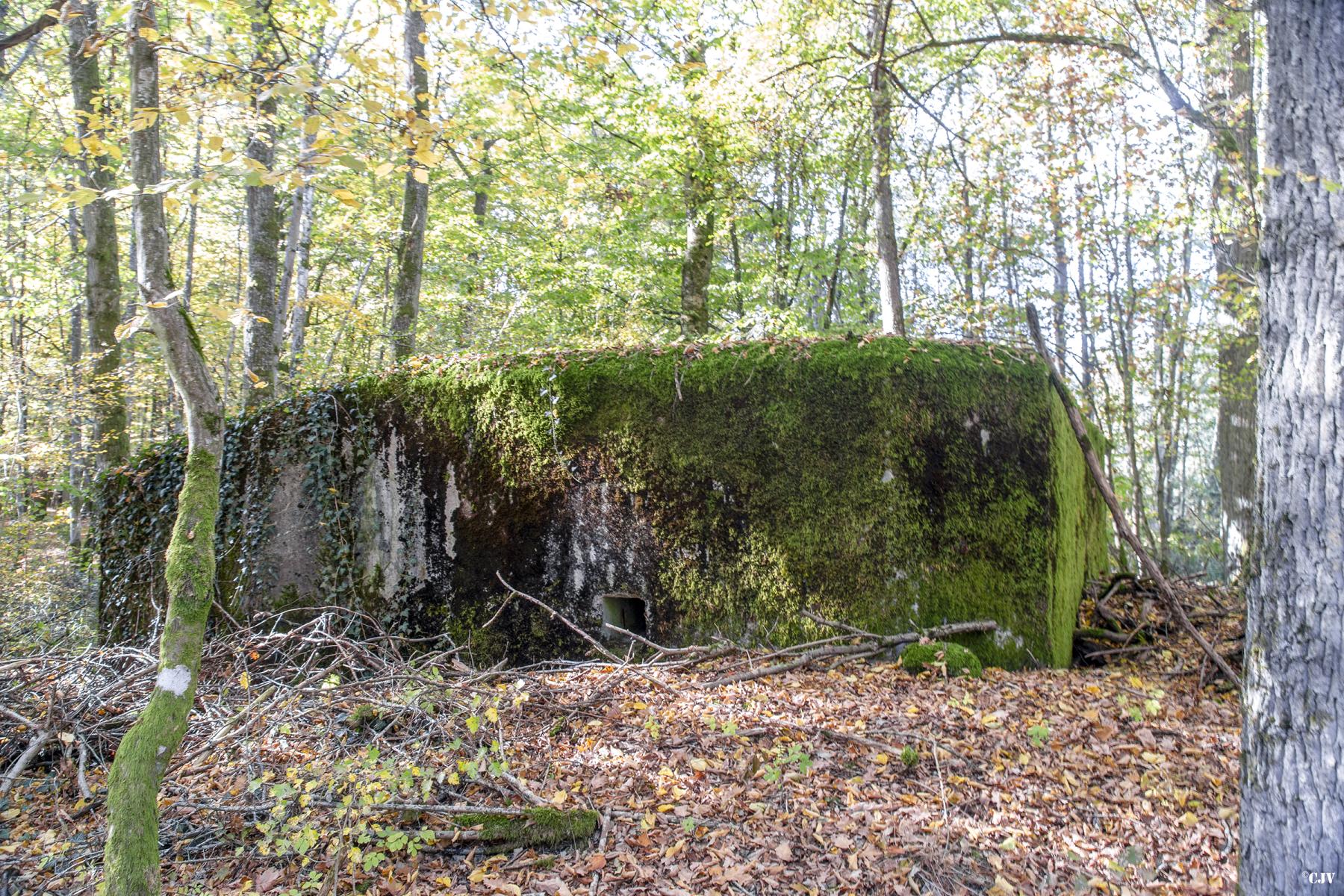 Ligne Maginot - M5B - HENRIVILLE 2 (AVANT POSTE) - (Blockhaus pour arme infanterie) - 