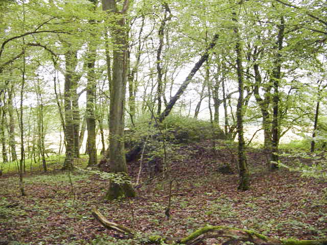 Ligne Maginot - M65B - BOIS DE BRILL 1 - (Blockhaus pour arme infanterie) - Vue générale: on voit nettement la lisière du bois de Brill