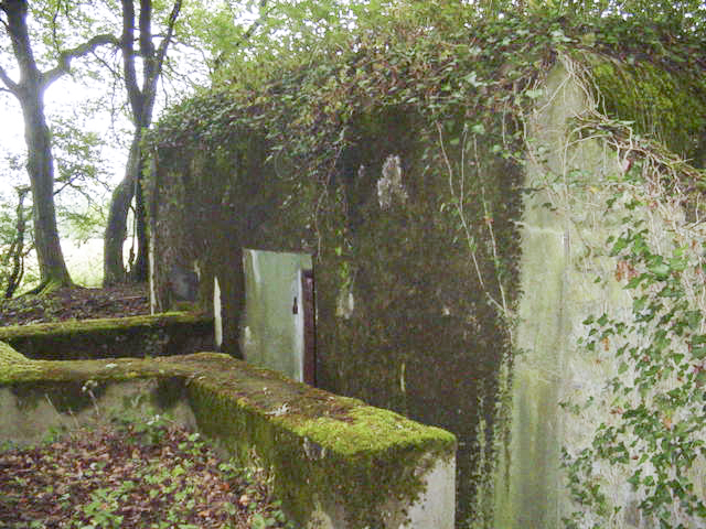Ligne Maginot - M65B - BOIS DE BRILL 1 - (Blockhaus pour arme infanterie) - L'entrée