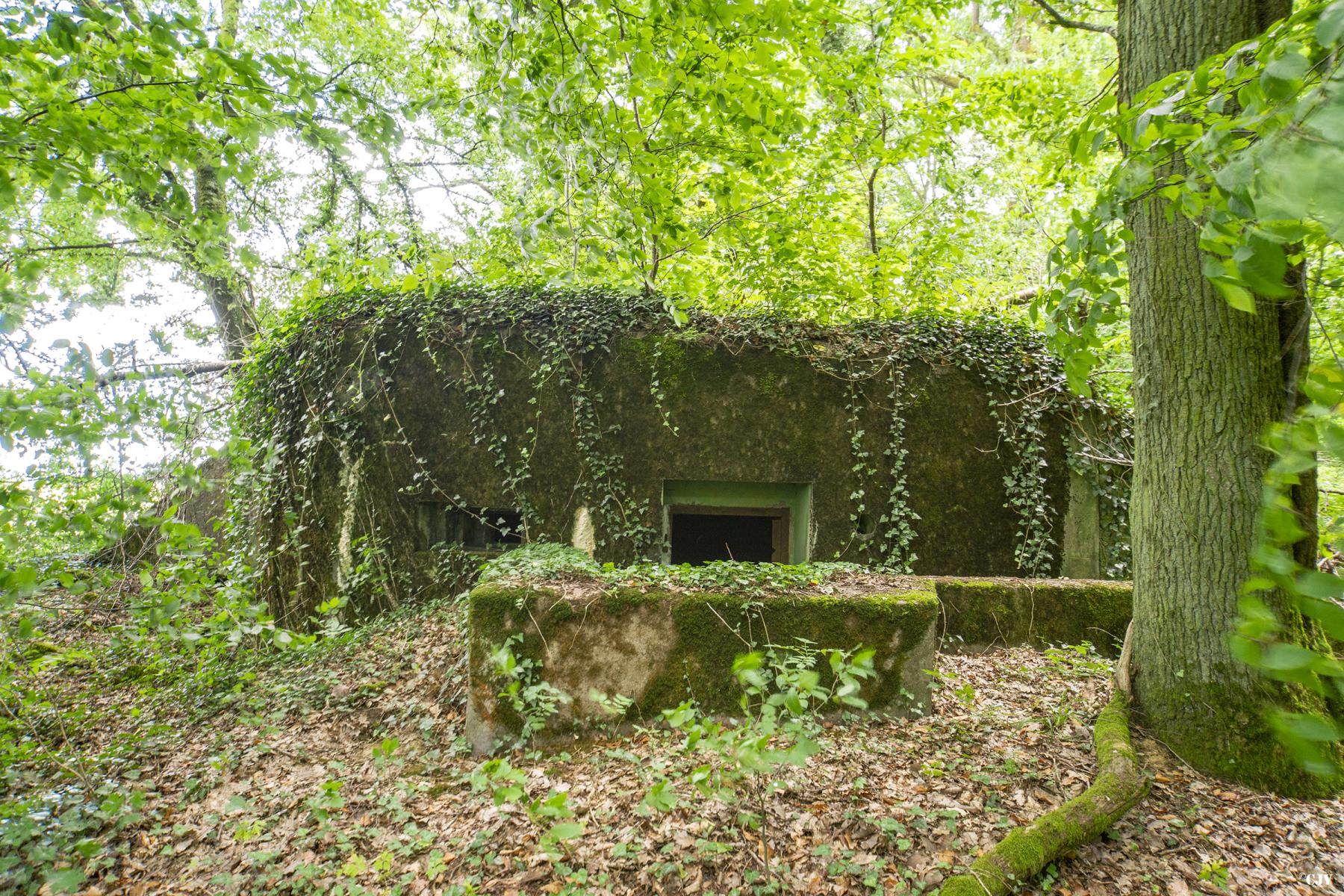 Ligne Maginot - M65B - BOIS DE BRILL 1 - (Blockhaus pour arme infanterie) - L'entrée                   
